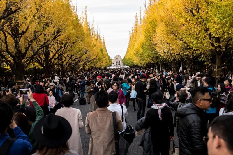 Top Things to Do in Tokyo 2025