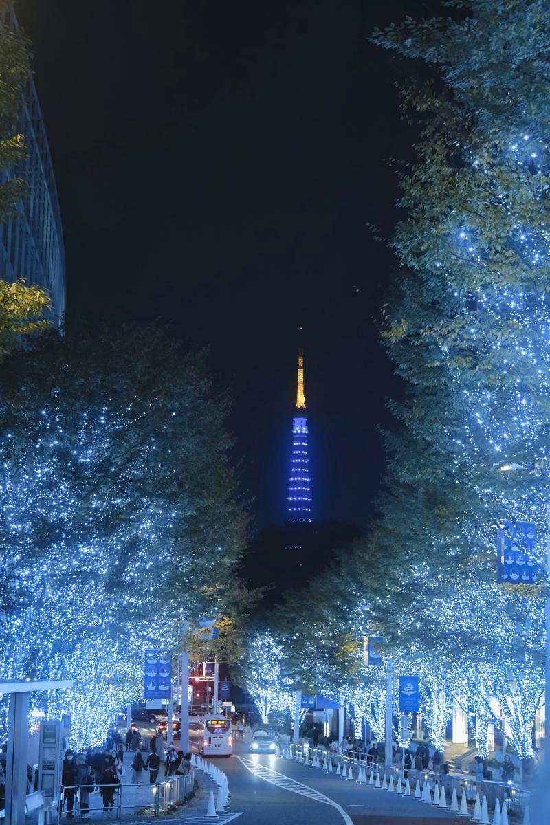 Enjoy Roppongi Hills Winter Illuminations: One of the Things to Do in Tokyo December