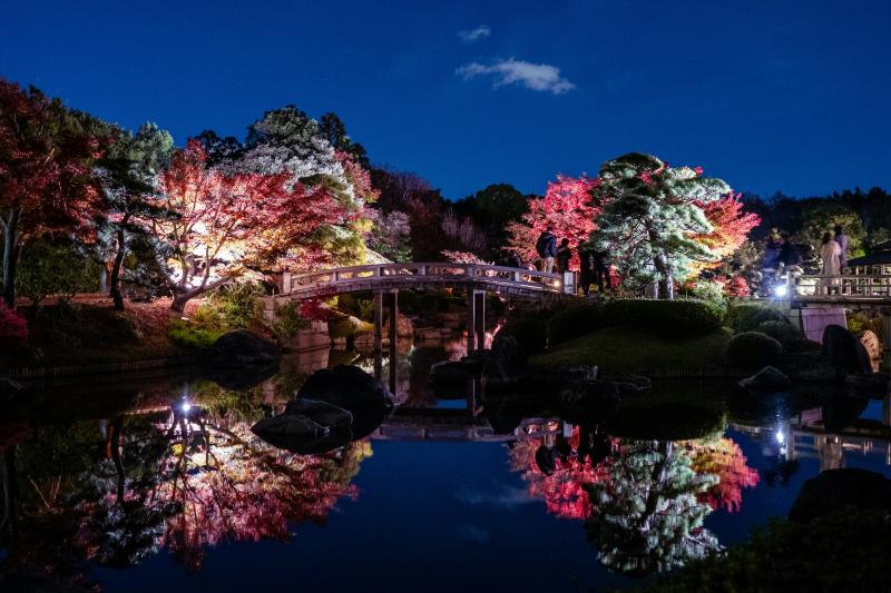 Autumn Illumination Is What to See in Japan in November