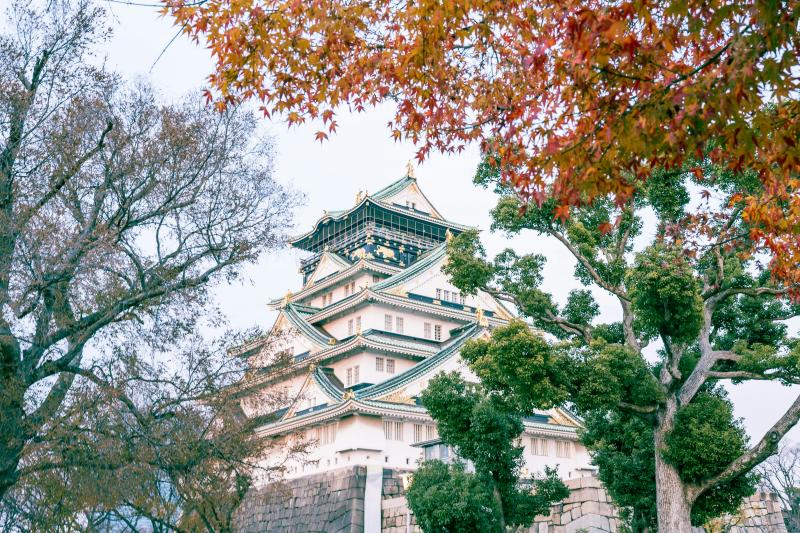 Travel Japan in November to Explore the Osaka Castle