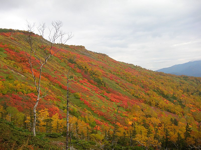 View the Earliest Autumn Foliage at Ginsendai During September in Japan