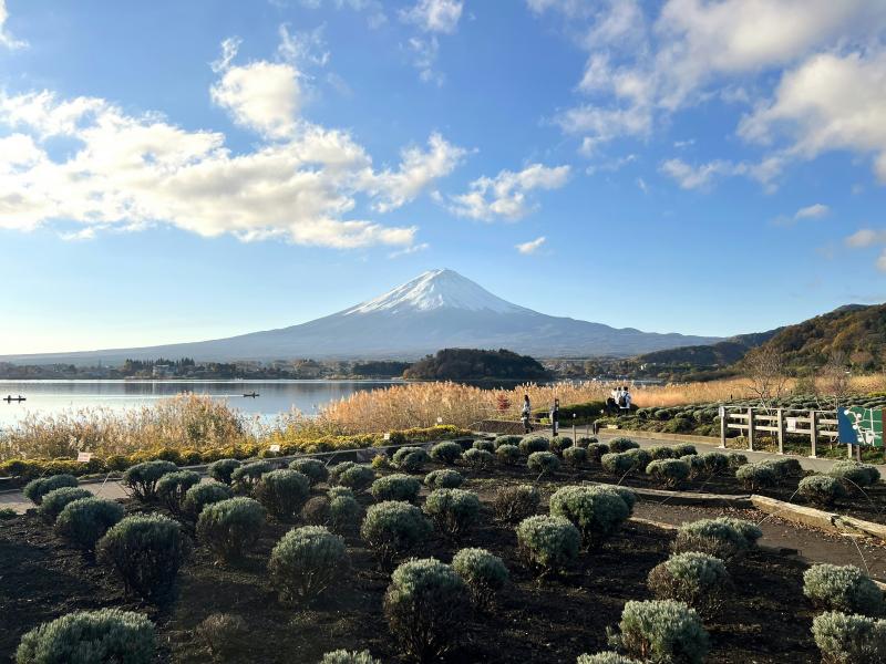 Stunning Fuji View from Oishi Park during September in Japan