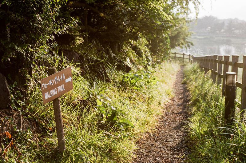Go Hiking in Lake Kawaguchiko During Your Japan Trip in June