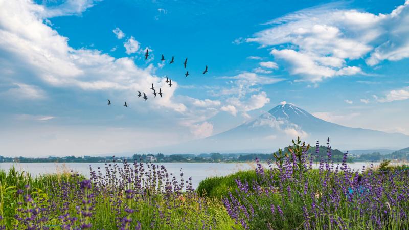 Great Fuji View in Late June in Japan