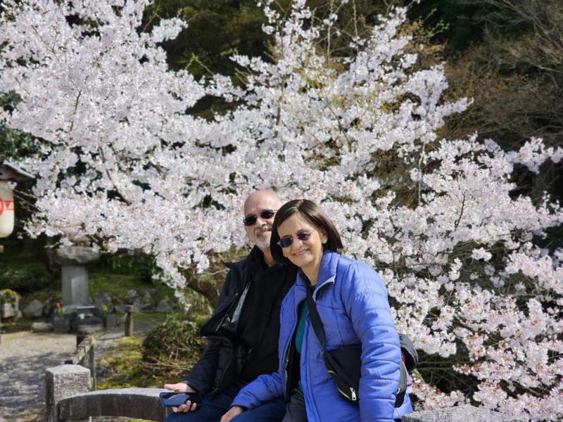 Enjoy Private Guided Sakura Tour with Umetravel
