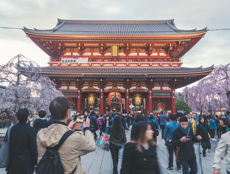 Japan Cherry Blossoms Season 2025 Complete Guide to Sakura