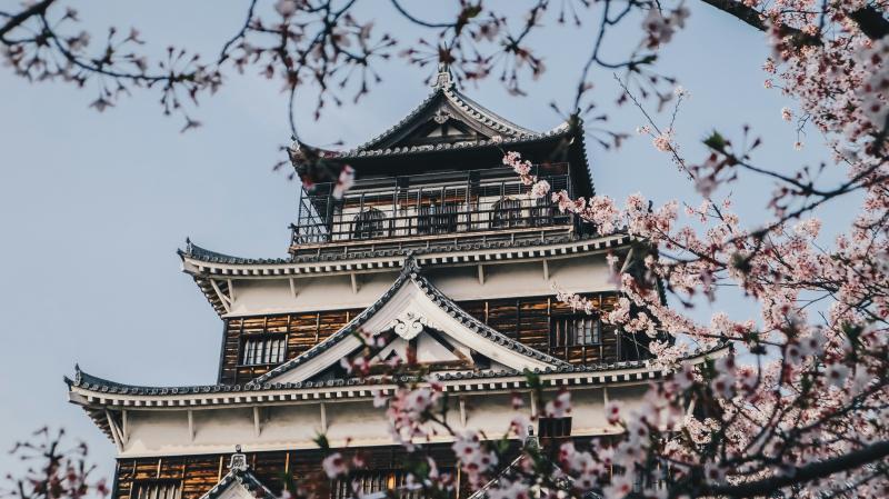 Hiroshima Castle During the Japan Cherry Blossom Season