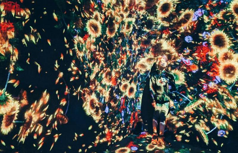 Kids Can Immerse in the Colorful Light Art in Teamlab Borderless Tokyo