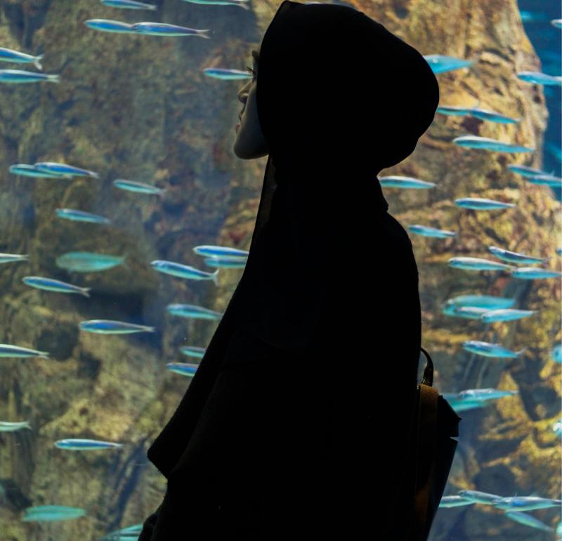 Osaka Kaiyukan Aquarium Is a Wonderful Place to Visit for a 7-day Trip in Japan with Kids