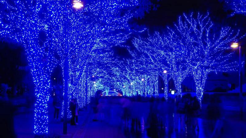 Winter Illuminations Are Things to See in Japan in December