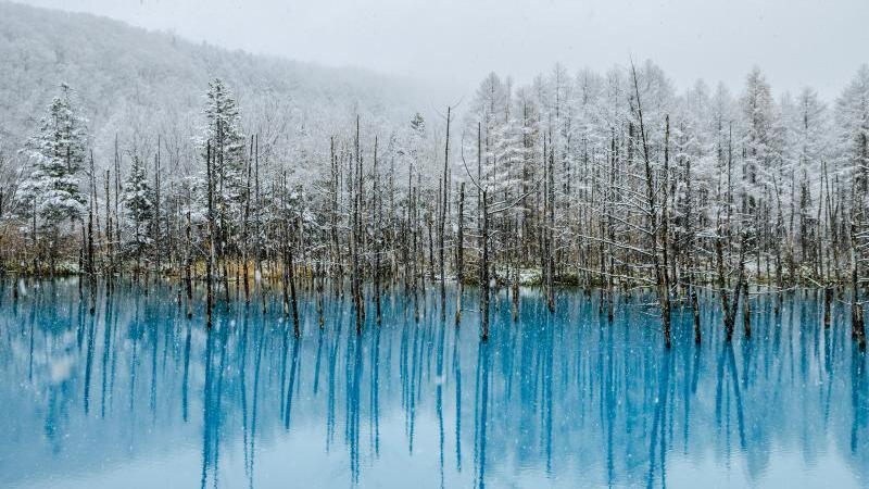 Shirogane Blue Pond: A Must-see Place In Japan December