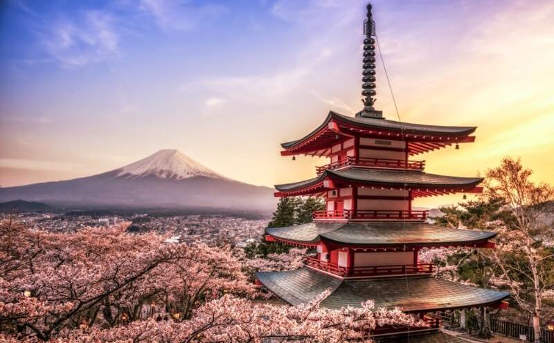 Mt. Fuji Cherry Blossom in Arakura Fuji Sengen Shrine