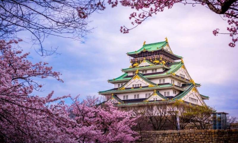 Osaka Castle Cherry Blossom
