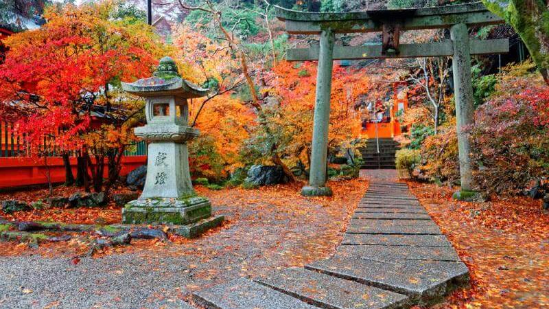 Japan Fall Foliage