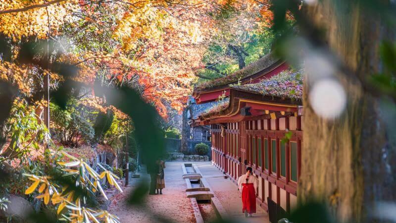 Best Japan Fall Foliage in Fukuoka