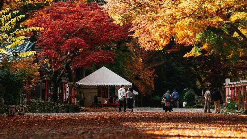 Autumn in Japan
