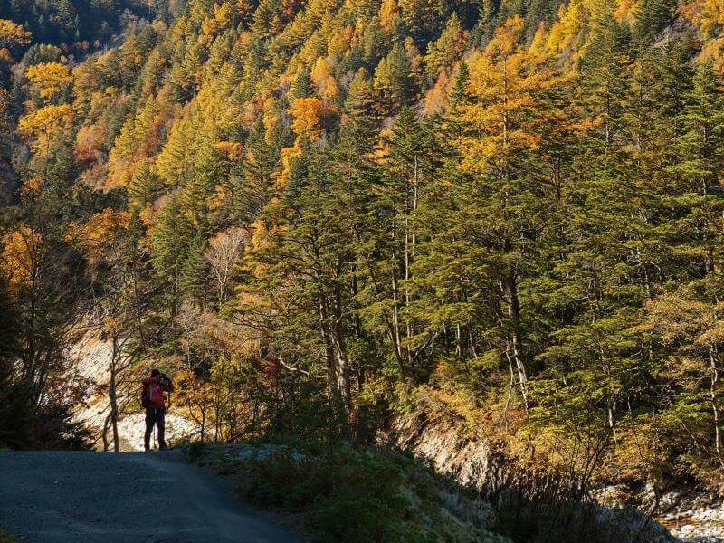 Hiking in Kamikochi in Japan Autumn