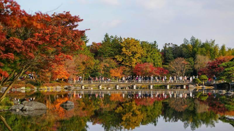 Best Place to See Fall Colors in Tokyo, Japan