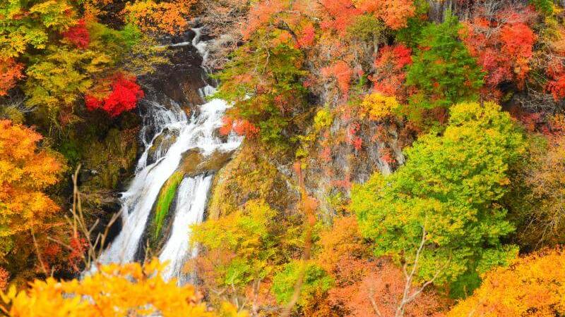 Best Place to Enjoy the Autumn Leaves in Nikko, Japan
