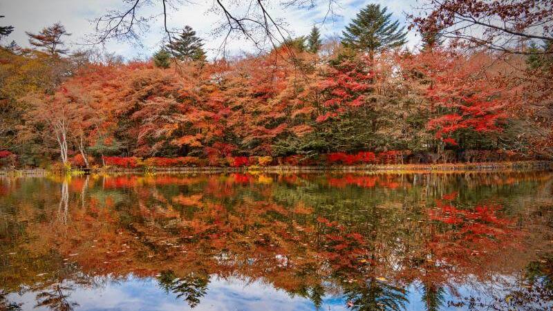Nagano Karuizawa Kumoba Pond in Chūbu in Mid-November