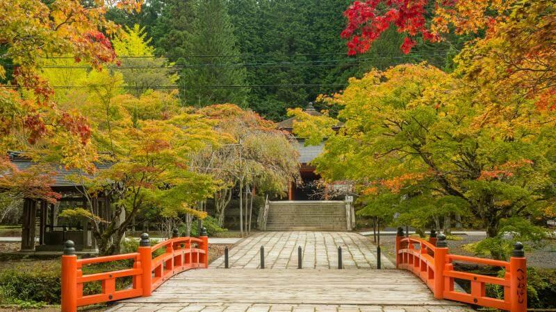 Wakayama Fall Colors at Mount Kōya in Kansai in Late October