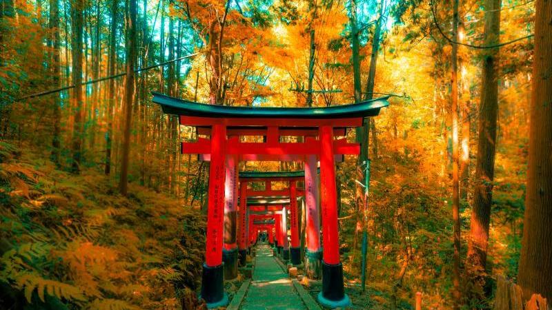 Stunning Japan Autumn View at Fushimi Inari Shrine