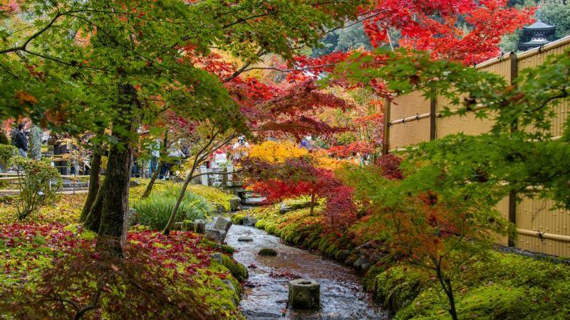 Japan Fall Colors at Eikando Temple Kyoto