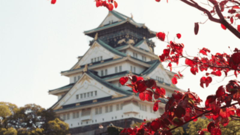 Osaka Castle Autumn
