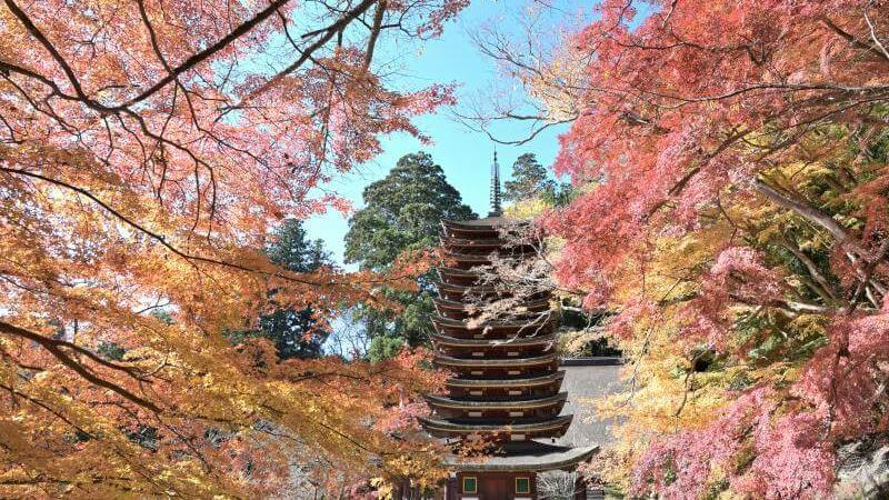 Japan Autumn Season