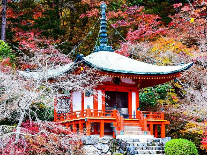 Autumn Colours Japan at Daigo ji Temple