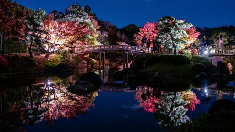 Autumn Illumination Osaka
