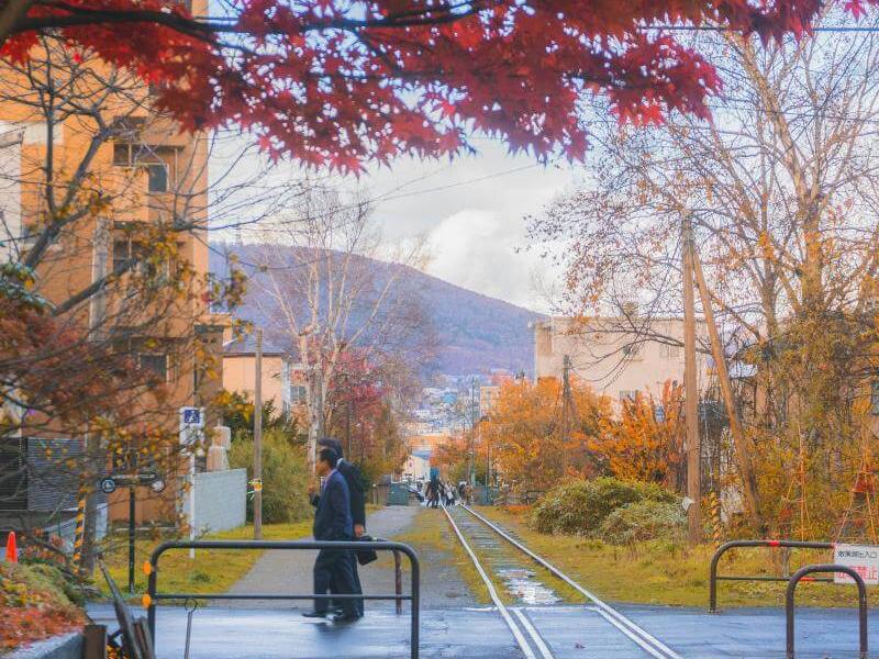 Hokkaido in the Fall