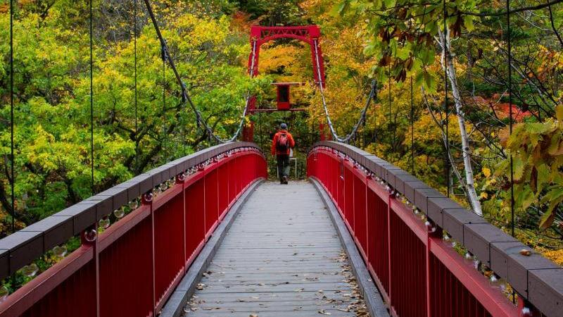 Autumn Foliage Hokkaido at Sapporo