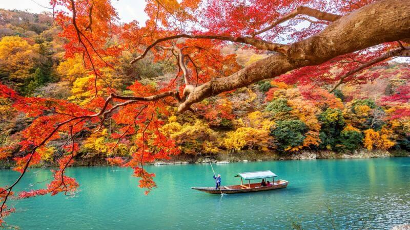 Kyoto Autumn Leaves at Arashiyama