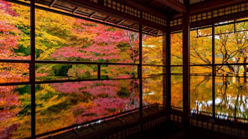Stunning Kyoto Fall Foliage at Rurikō-in Temple