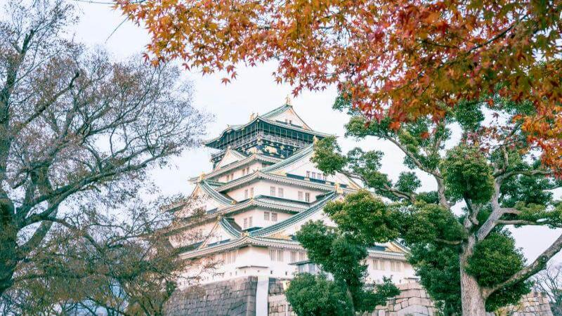 Admire Japan Foliage at Osaka Castle