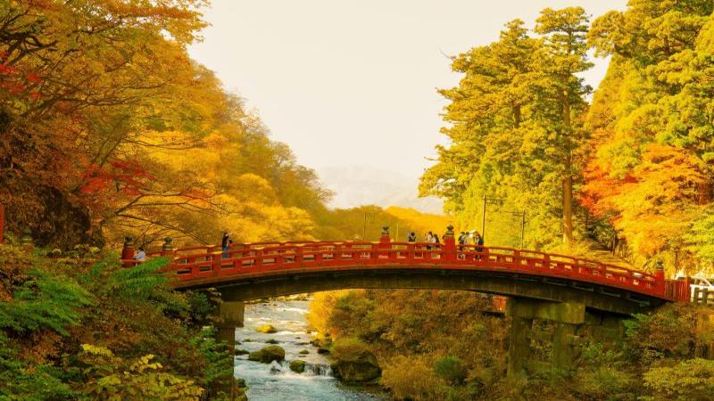 Nikko Fall Foliage at Shinkyō Bridge