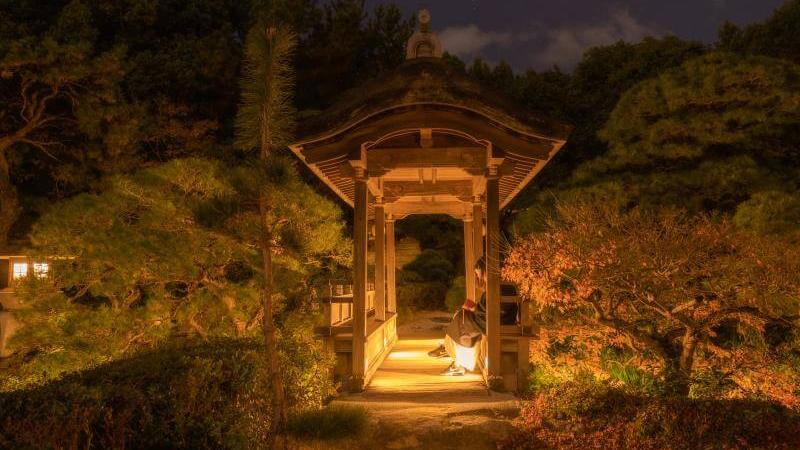 Enjoy Autumn Leaves Japan at Night