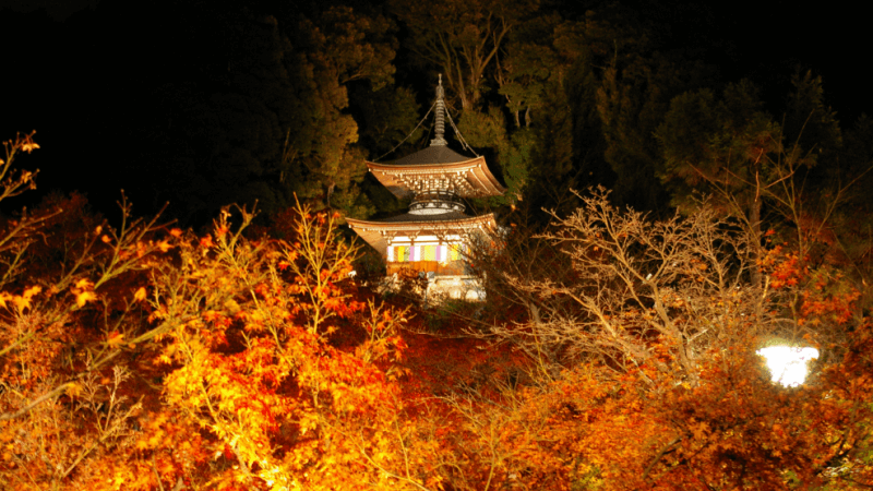 Kyoto Autumn Leaves Illumination at Eikandō Temple