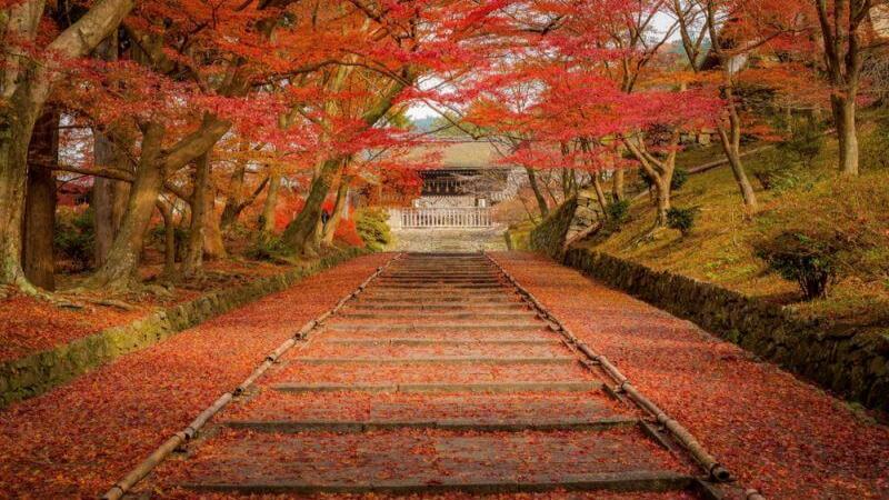 Fall Foilage Japan