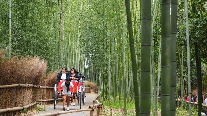 Arashiyama Rickshaw Ride