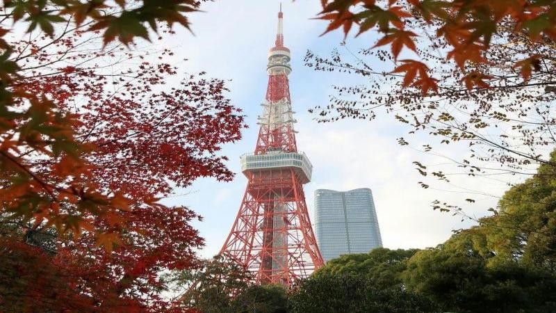 Enchanting Tokyo Tower Autumn Leaves