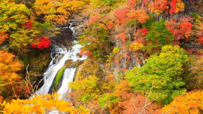 Autumn Leaves Nikko at at Kirifuri Falls