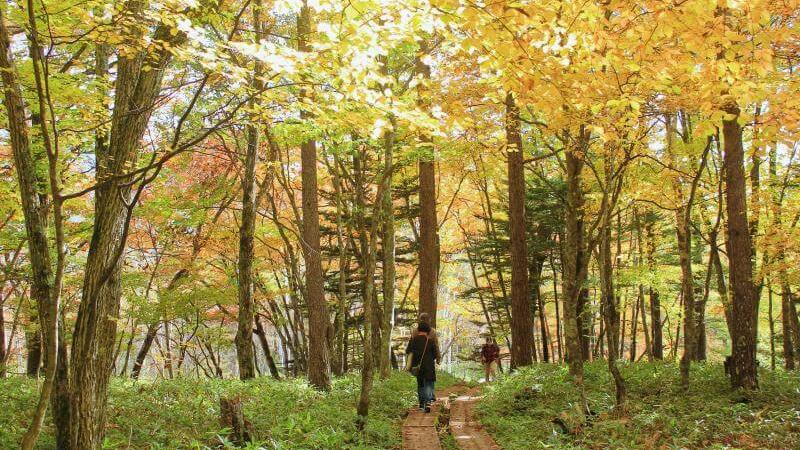 Fall Colors in Nikko Japan
