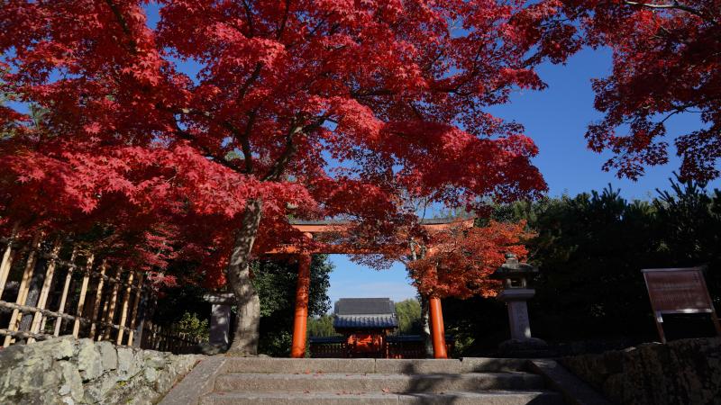 Tenyru-ji Temple in the Fall