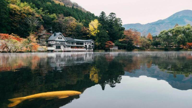 Kyushu Fall Colors at Kinrin Lake