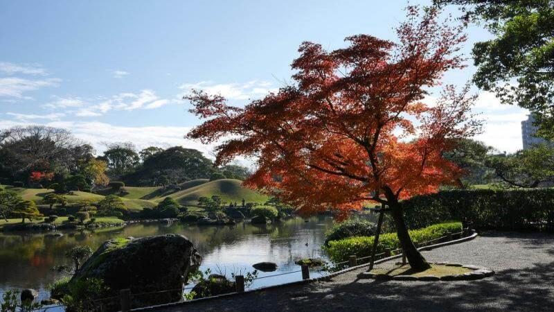 Kumamoto Autumn