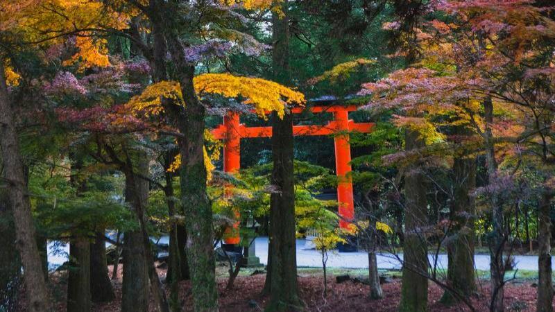 Kirishima Autumn Leaves at Kagoshima, Kyushu