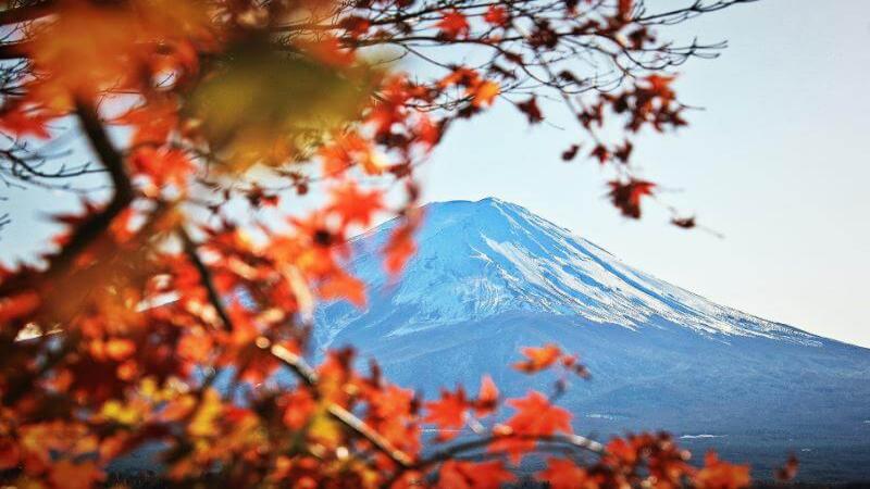 Mt Fuji Japan Autumn Leaves Festival