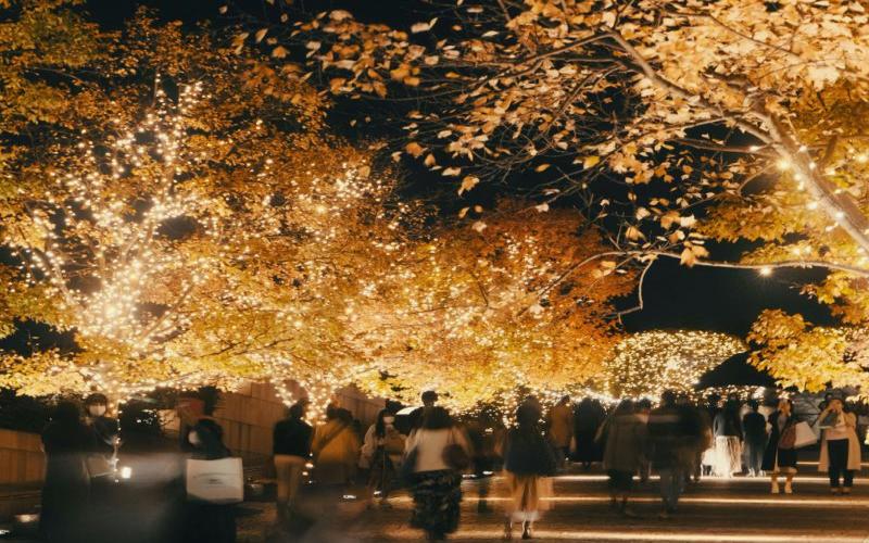 Autumn Illumination Tokyo